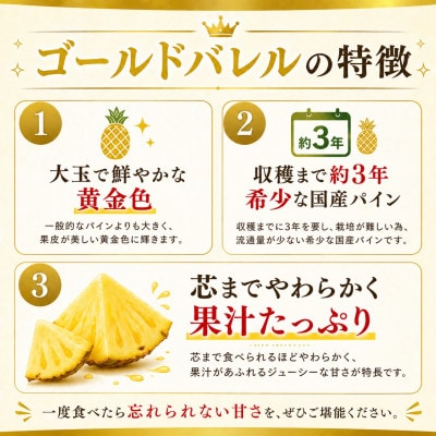 【2026年6月下旬から順次発送】今帰仁村パイン産地協議会 ゴールドバレル3.6kg(2～3玉)