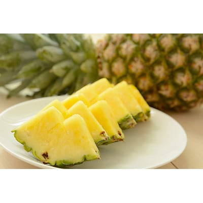 【2026年7月上旬から順次発送】今帰仁村パイン産地協議会 サンドルチェ2.0kg(2～3玉)