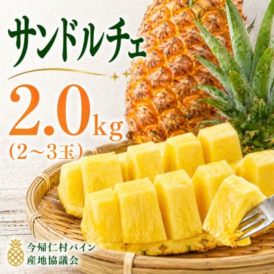 【2026年7月上旬から順次発送】今帰仁村パイン産地協議会 サンドルチェ2.0kg(2～3玉)