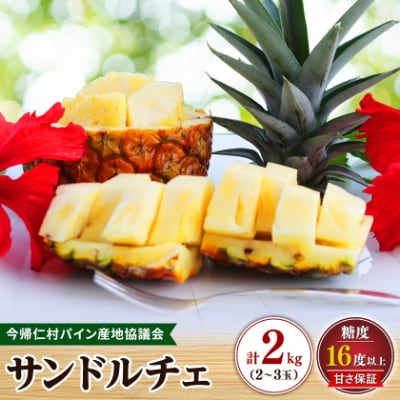 【2027年8月上旬から順次発送】今帰仁村パイン産地協議会 サンドルチェ2.0kg(2～3玉)