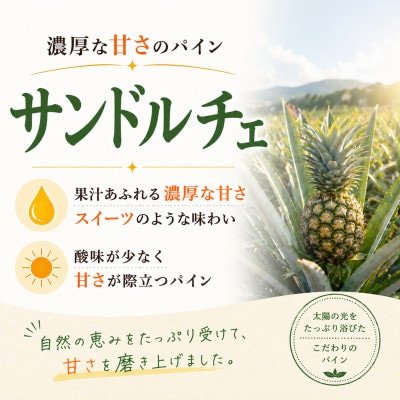 【2026年7月上旬から順次発送】今帰仁村パイン産地協議会 サンドルチェ2.0kg(2～3玉)