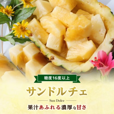 【2027年8月上旬から順次発送】今帰仁村パイン産地協議会 サンドルチェ2.0kg(2～3玉)