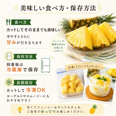 【2026年7月上旬から順次発送】今帰仁村パイン産地協議会 サンドルチェ2.0kg(2～3玉)