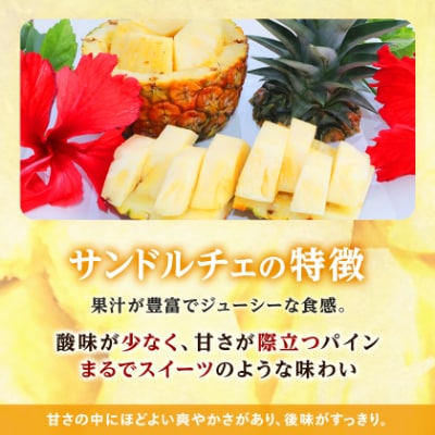 【2027年8月上旬から順次発送】今帰仁村パイン産地協議会 サンドルチェ2.0kg(2～3玉)