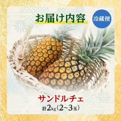 【2027年8月上旬から順次発送】今帰仁村パイン産地協議会 サンドルチェ2.0kg(2～3玉)