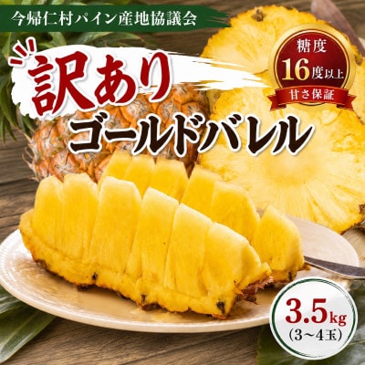 【2026年6月下旬から順次発送】今帰仁村パイン産地協議会 ゴールドバレル3.5kg(3～4玉)