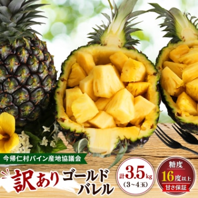【2026年6月下旬から順次発送】今帰仁村パイン産地協議会 ゴールドバレル3.5kg(3～4玉)