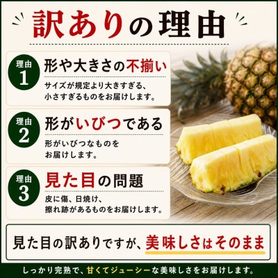 【2026年6月下旬から順次発送】今帰仁村パイン産地協議会 ゴールドバレル3.5kg(3～4玉)