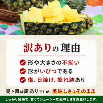 【2026年6月下旬から順次発送】今帰仁村パイン産地協議会 ゴールドバレル3.5kg(3～4玉)