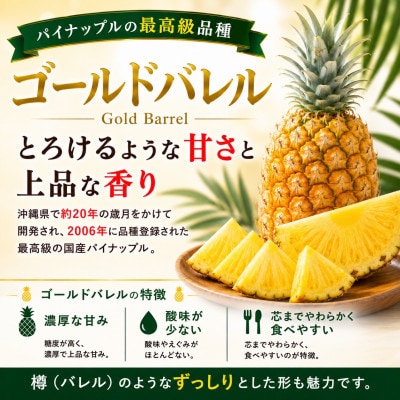【2026年6月下旬から順次発送】今帰仁村パイン産地協議会 ゴールドバレル3.5kg(3～4玉)