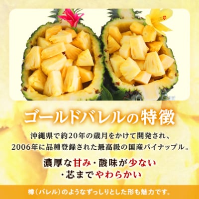 【2026年6月下旬から順次発送】今帰仁村パイン産地協議会 ゴールドバレル3.5kg(3～4玉)