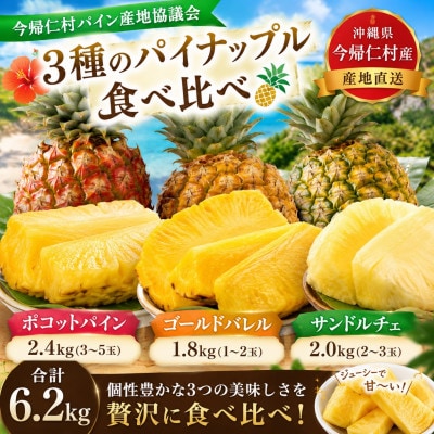 【発送月固定定期便】今帰仁村パイン産地協議会 3種のパイナップルの食べ比べ全3回