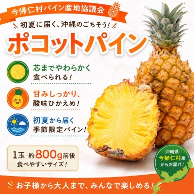 【発送月固定定期便】今帰仁村パイン産地協議会 3種のパイナップルの食べ比べ全3回