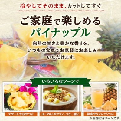 【発送月固定定期便】2027年発送 今帰仁村パイン産地協議会 3種のパイナップルの食べ比べ全3回