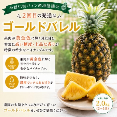 【発送月固定定期便】今帰仁村パイン産地協議会 3種のパイナップルの食べ比べ全3回