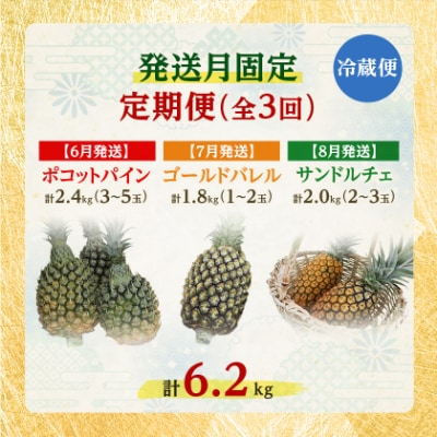 【発送月固定定期便】2027年発送 今帰仁村パイン産地協議会 3種のパイナップルの食べ比べ全3回