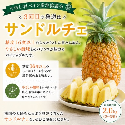 【発送月固定定期便】今帰仁村パイン産地協議会 3種のパイナップルの食べ比べ全3回