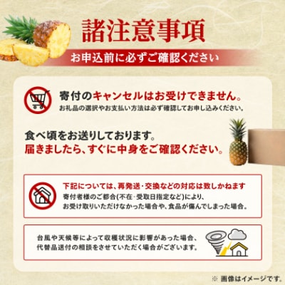 【発送月固定定期便】2027年発送 今帰仁村パイン産地協議会 3種のパイナップルの食べ比べ全3回