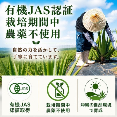 【有機JAS認証】琉球アロエパウチ 葉肉無し 1000ml×6袋