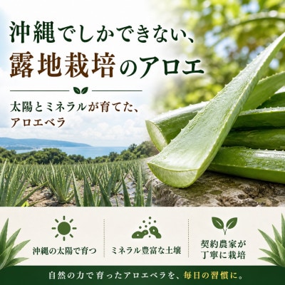 【有機JAS認証】琉球アロエパウチ 葉肉無し 1000ml×10袋