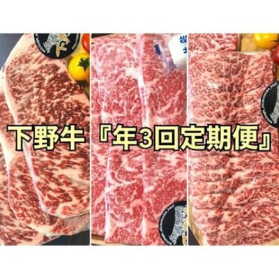 【発送月固定定期便】下野牛【4ヶ月ごと配送】全3回