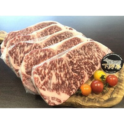 【発送月固定定期便】下野牛【4ヶ月ごと配送】全3回