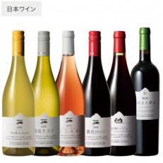 飲みごろワイン6本セット | ふるさと納税のお礼品
