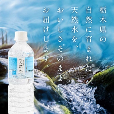 ミネラルウォーター 天然水 500ml×24本 軟水 備蓄品【離島・沖縄県不可】