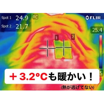 保温力でいつもの布団が暖かい　シャネボウ　ふわっと暖暖　大人のベッドカバー