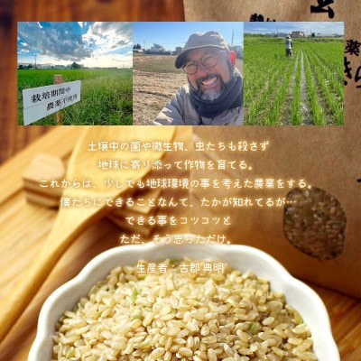 のりちゃん米 玄米 (にじのきらめき)  1kg<栽培期間中 農薬・肥料不使用>