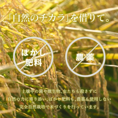 のりちゃん米 もち米 (きぬはなもち) 1kg<栽培期間中 農薬・肥料不使用>