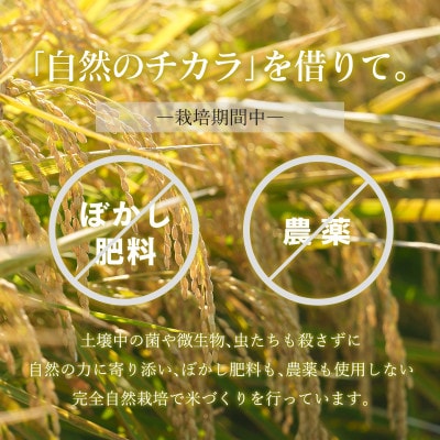 のりちゃん米 もち米(きぬはなもち)10kg<栽培期間中 農薬・肥料不使用>
