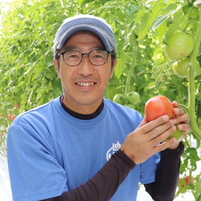 太陽の恵みを受けて育った　あしかが美人トマト1kg×2箱