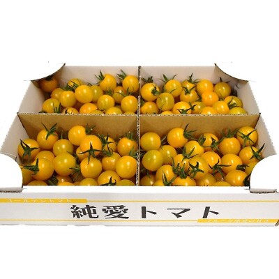 栃木県足利産こだわりミニトマト　甘さいっぱい「純愛トマト」2kg