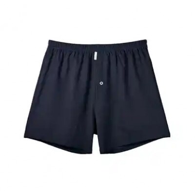シルクトランクス(M2枚)ZIVANE メンズ下着