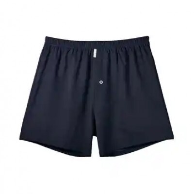 シルクトランクス(L2枚)ZIVANE メンズ下着
