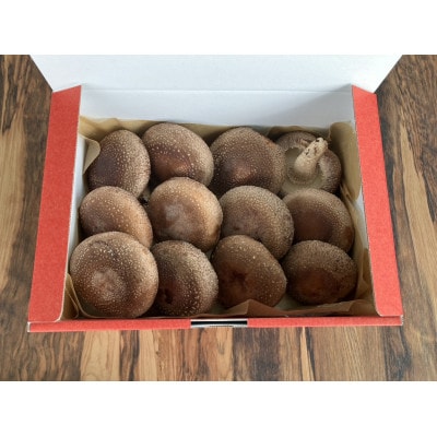 生しいたけ300g&乾燥しいたけ焙煎パウダー50gセット