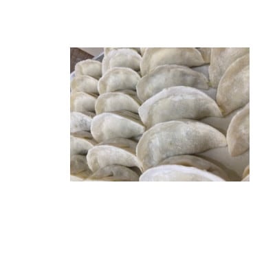 冷凍餃子　10個入