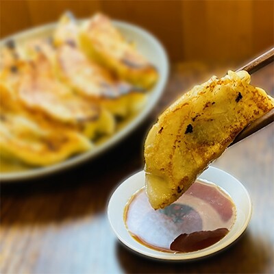 冷凍餃子　10個入×2パック