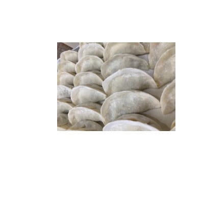 冷凍餃子　10個入×2パック