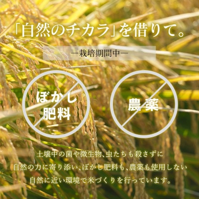 のりちゃん米 玄米(にじのきらめき)10kg<栽培期間中 農薬・肥料不使用>