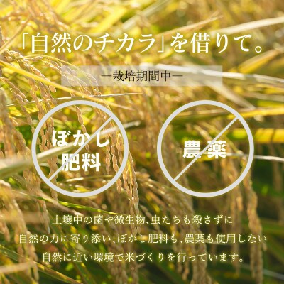 のりちゃん米 もち米(きぬはなもち)1kg<栽培期間中 農薬・肥料不使用>