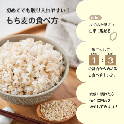 もち麦ちゃん 450g<栽培期間中 農薬・肥料不使用>