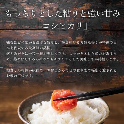 のりちゃん米 白米(コシヒカリ)10kg<栽培期間中 農薬・肥料不使用>