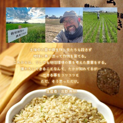 のりちゃん米 玄米(ゆうだい21)2kg<栽培期間中 農薬・肥料不使用>