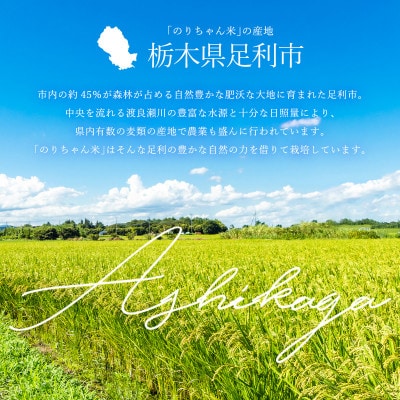 のりちゃん粉 1kg(500g×2袋)<栽培期間中 農薬・肥料不使用>