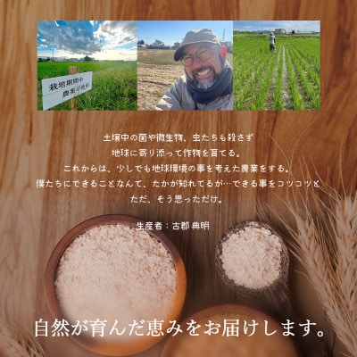 のりちゃん粉 1kg(500g×2袋)<栽培期間中 農薬・肥料不使用>