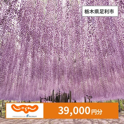 【じゃらんふるさと納税クーポン】 栃木県足利市でつかえる39,000円 クーポン