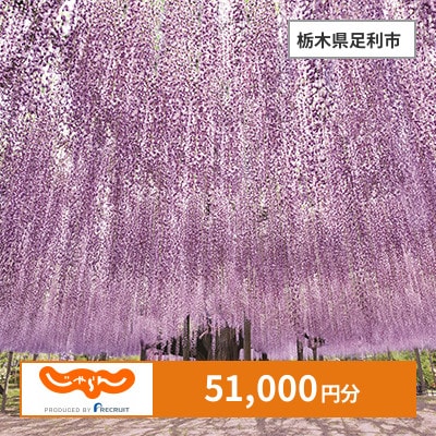 【じゃらんふるさと納税クーポン】 栃木県足利市でつかえる51,000円 クーポン
