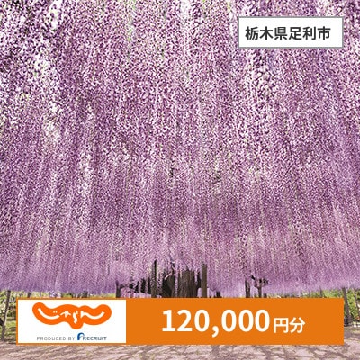 【じゃらんふるさと納税クーポン】 栃木県足利市でつかえる120,000円 クーポン